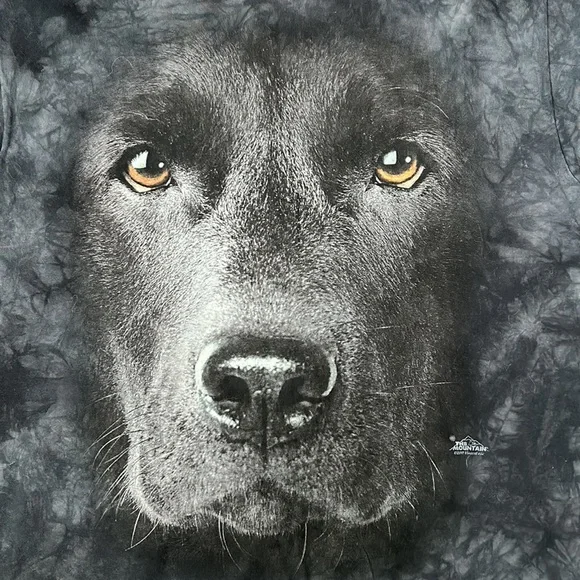 THE MOUNTAIN Black Lab dog t-shirt black Mens Large Short Sleeve, size 2XL - Picture 4 of 7